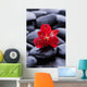 Macro Beautiful Red Orchid Wall Decal