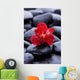 Macro Beautiful Red Orchid Wall Decal