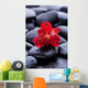 Macro Beautiful Red Orchid Wall Decal