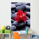 Macro Beautiful Red Orchid Wall Decal