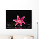 Lying down Pink Lily Wall Decal