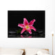 Lying down Pink Lily Wall Decal
