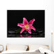Lying down Pink Lily Wall Decal