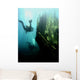 Wreck with sunbeams showing bow of boat and divers Wall Mural