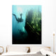 Wreck with sunbeams showing bow of boat and divers Wall Mural