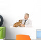 Vet Examines Dog Wall Decal