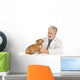 Vet Examines Dog Wall Decal