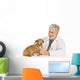 Vet Examines Dog Wall Decal