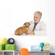 Vet Examines Dog Wall Decal