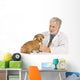 Vet Examines Dog Wall Decal
