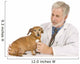 Vet Examines Dog Wall Decal