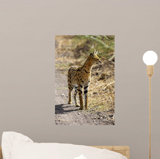 Serval Cat Wall Decal