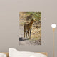 Serval Cat Wall Decal