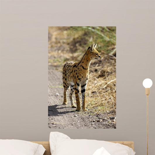 Serval Cat Wall Decal