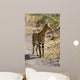 Serval Cat Wall Decal