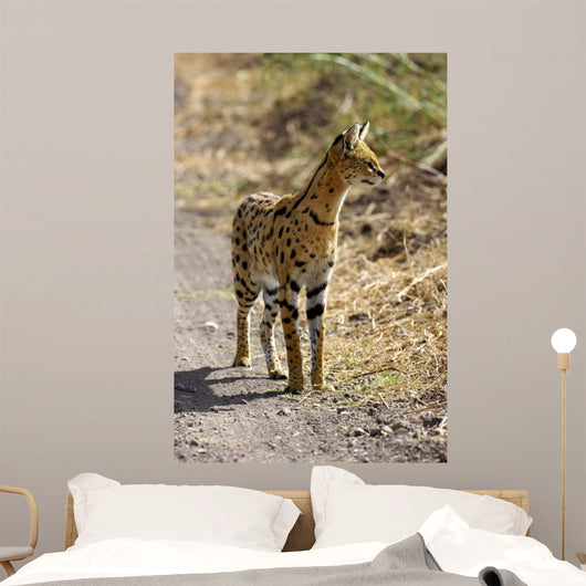 Serval Cat Wall Decal