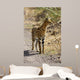 Serval Cat Wall Decal