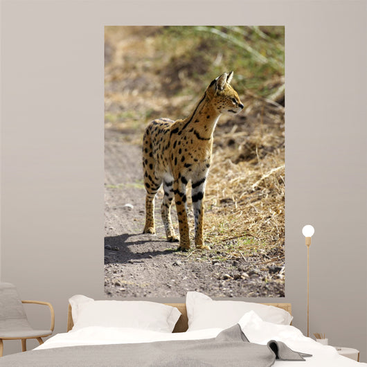 Serval Cat Wall Decal
