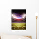 stadium Wall Mural