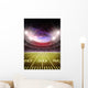 stadium Wall Mural