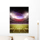 stadium Wall Mural