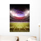 stadium Wall Mural