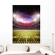 stadium Wall Mural