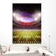 stadium Wall Mural