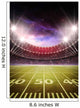 stadium Wall Mural