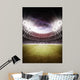 Stadium Wall Decal