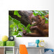 Borneo Orangutan Wall Mural