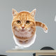 Red Cat on a White Background Wall Decal