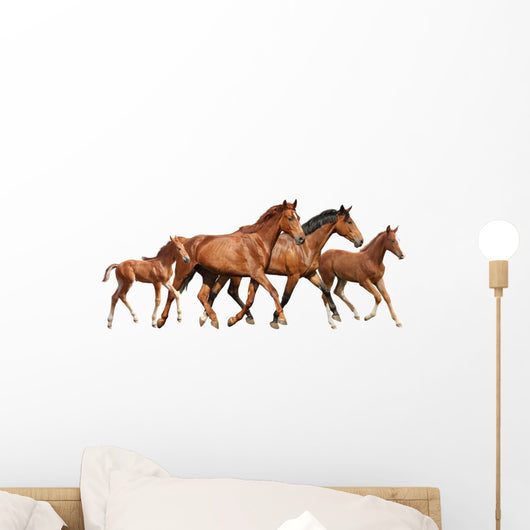 Two Brown Horses and Wall Decal