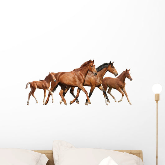 Two Brown Horses and Wall Decal