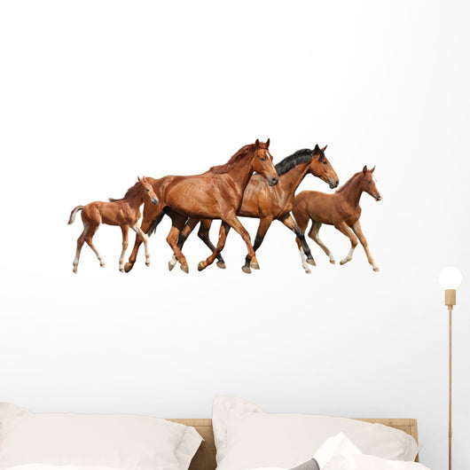 Two Brown Horses and Wall Decal