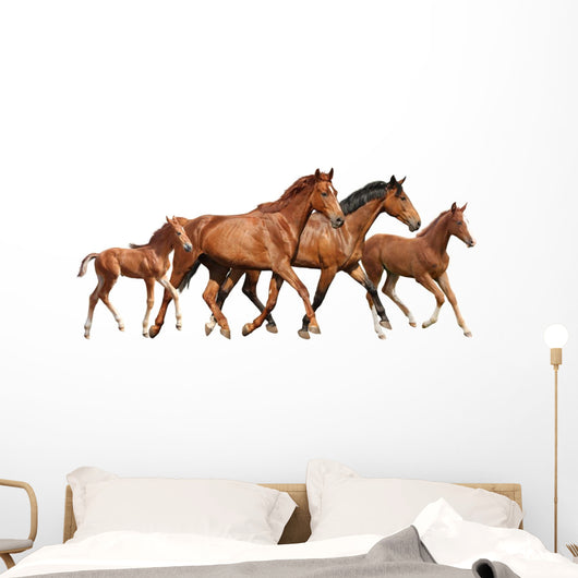 Two Brown Horses and Wall Decal