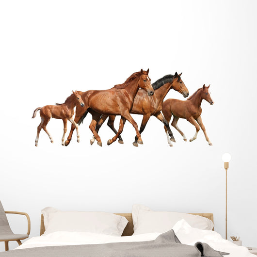 Two Brown Horses and Wall Decal