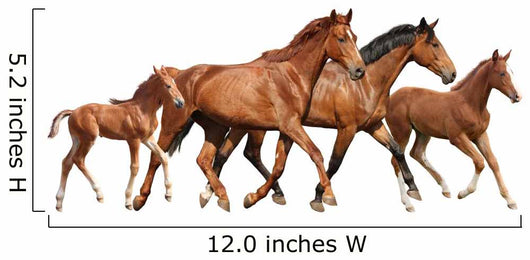 Two Brown Horses and Wall Decal