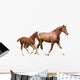 Chestnut Horse and Its Cute Foal Running Fast Wall Decal