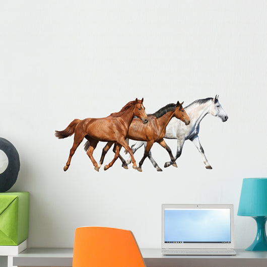 Herd Wild Horses Running Wall Decal