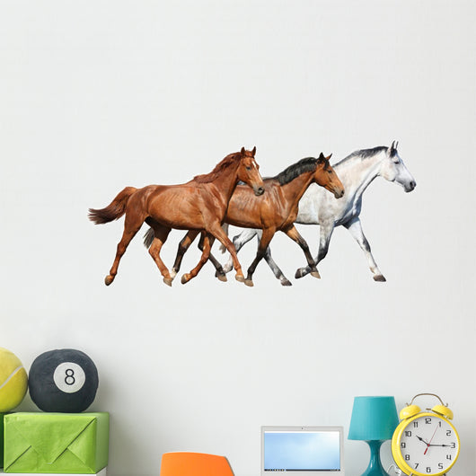 Herd Wild Horses Running Wall Decal