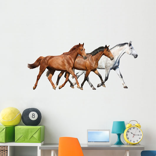 Herd Wild Horses Running Wall Decal
