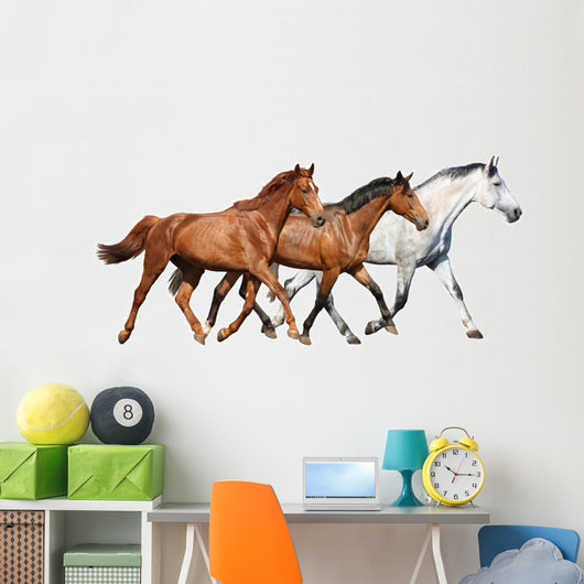 Herd Wild Horses Running Wall Decal