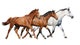 Herd Wild Horses Running Wall Decal