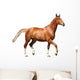 Chestnut Brown Horse Running 2 Wall Decal