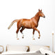 Chestnut Brown Horse Running 2 Wall Decal