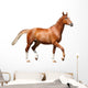 Chestnut Brown Horse Running 2 Wall Decal