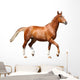 Chestnut Brown Horse Running 2 Wall Decal