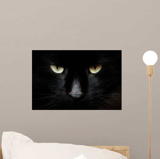 Gatto Nero Wall Decal