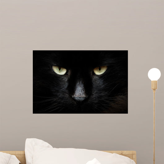 gatto nero Wall Mural